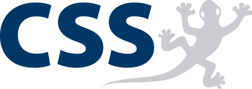 CSS Logo